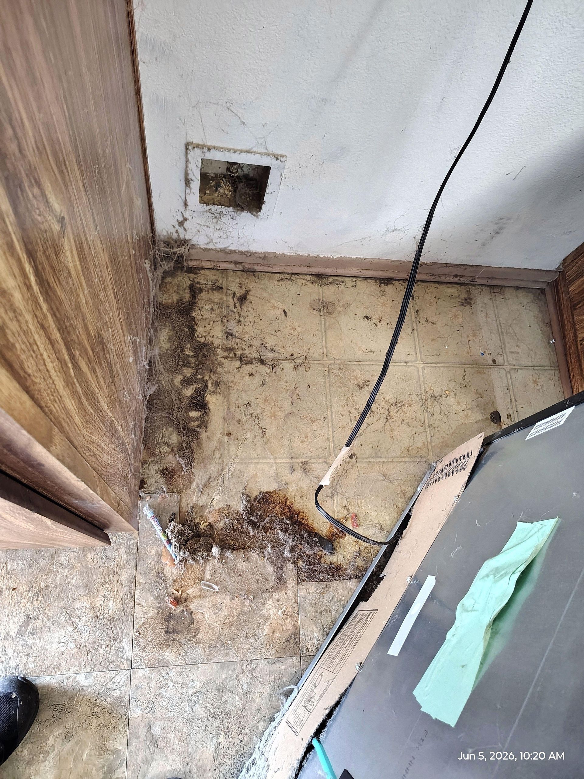 Mold and water damage on a floor corner with a wall outlet and damaged baseboard near a cabinet