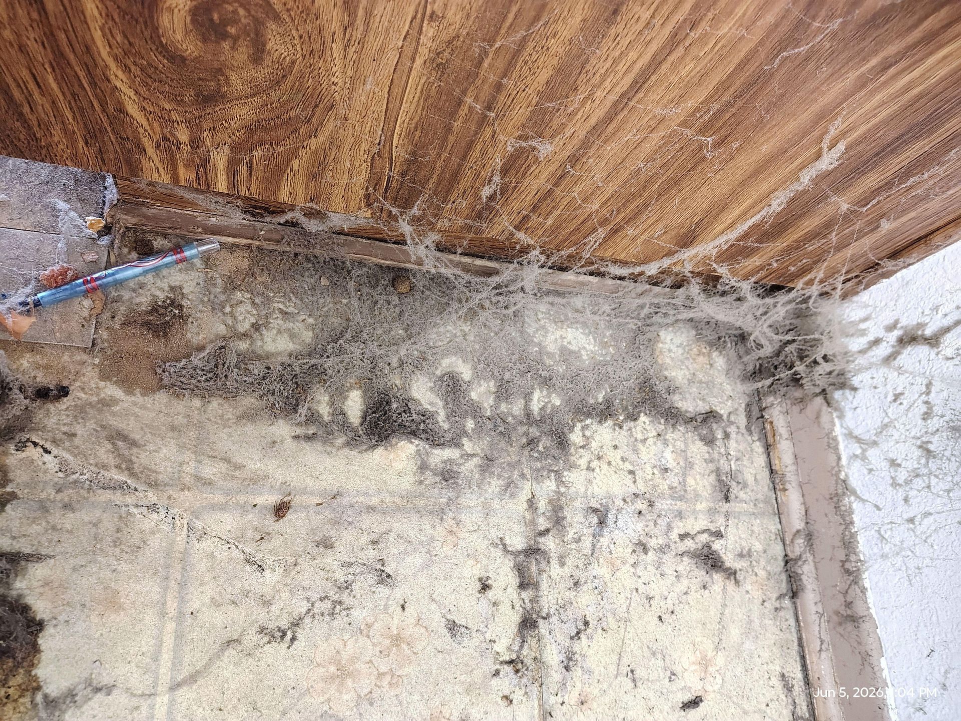 Water-damaged concrete corner with dark mold stains and peeling white paint near a rusted wall edge