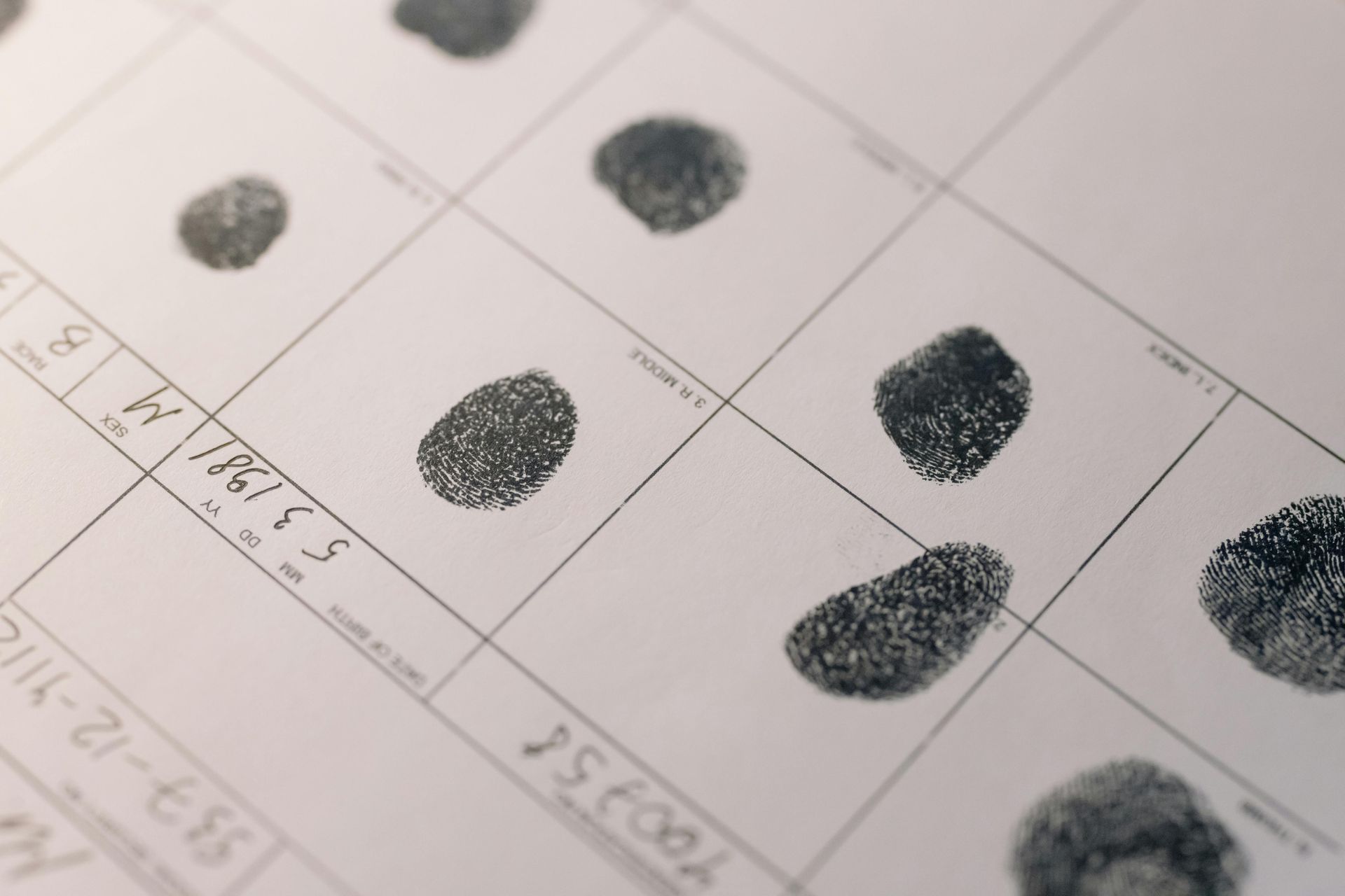 Fingerprints on a forensic document in a grid, used for identification.