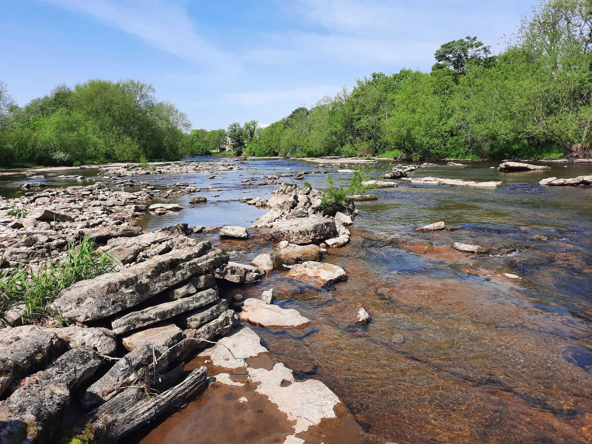 A shallow river with rocky banks flows under a blue sky, surrounded by green trees.