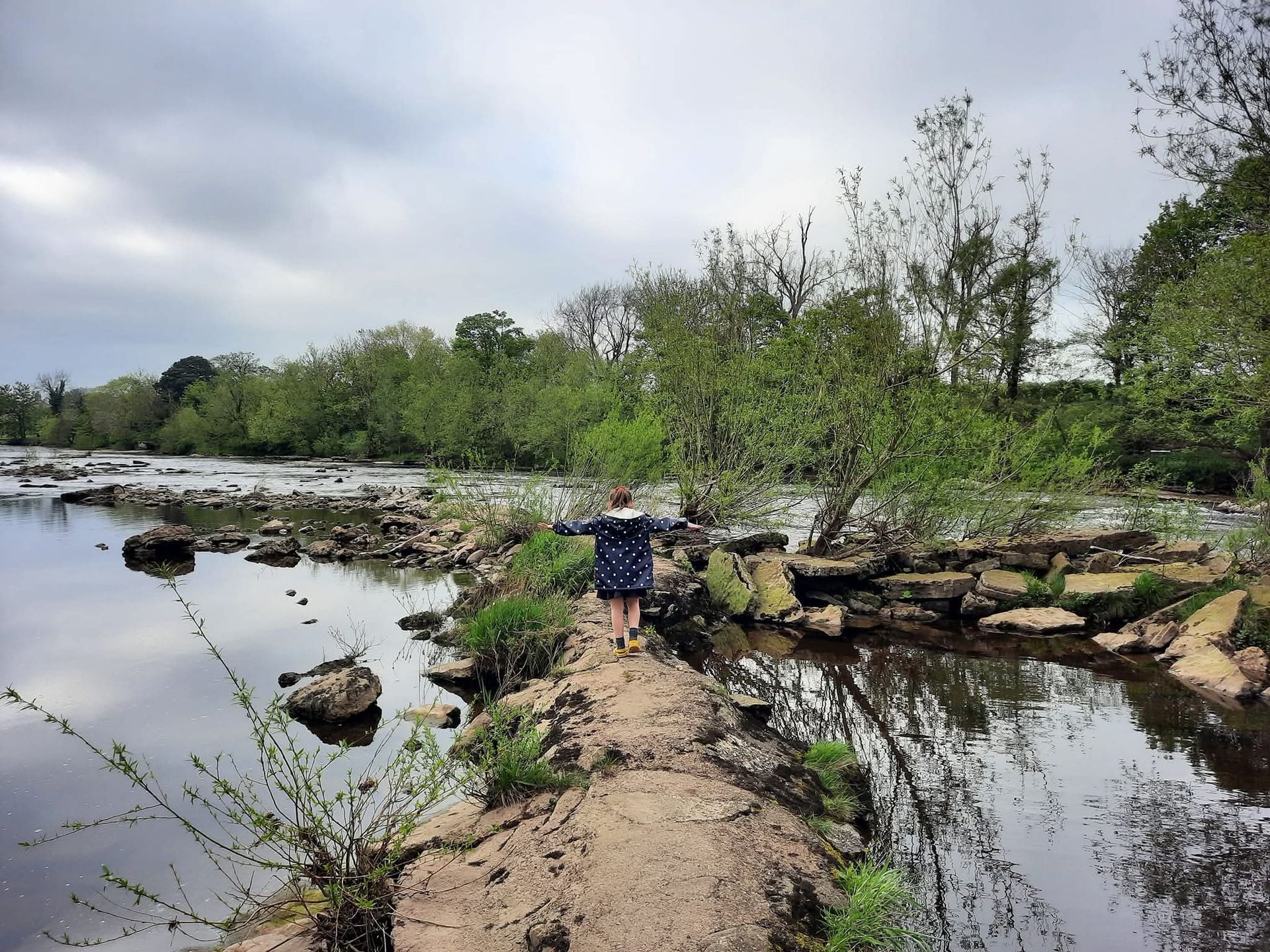 Person walking on a muddy bank across a shallow river. Green trees, cloudy sky.