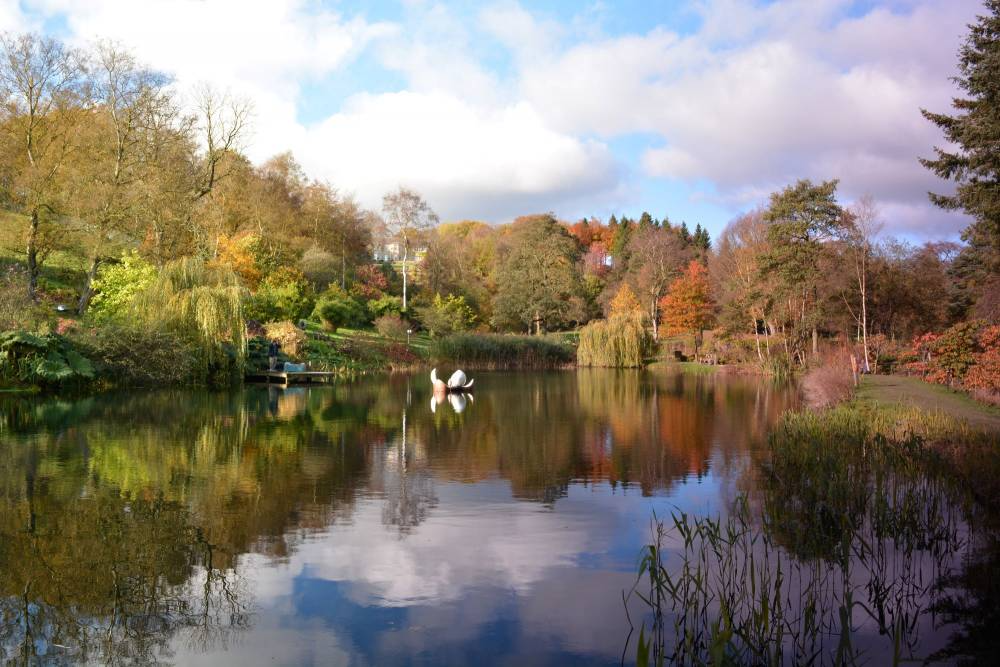 Autumnal lake scene reflecting colorful trees and a cloudy sky.