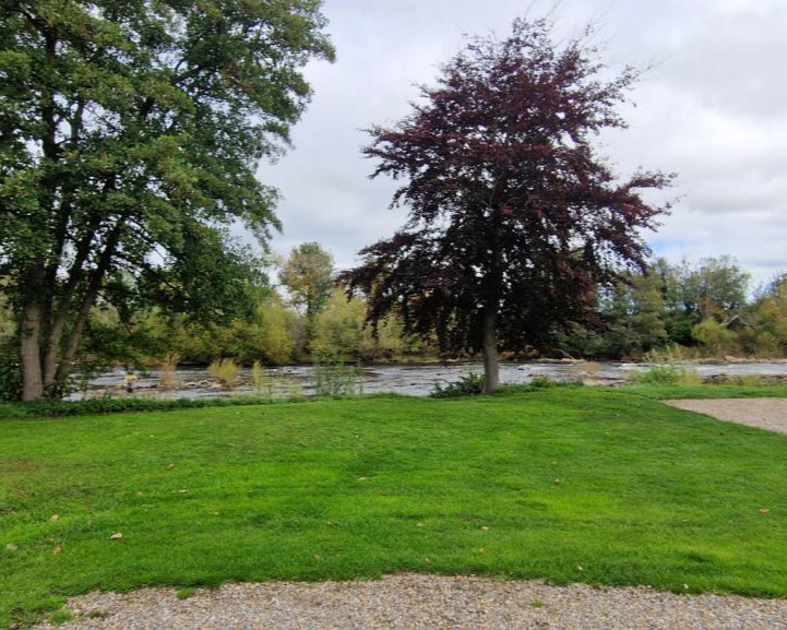 Green lawn with trees, one with burgundy leaves, near a river under a cloudy sky.