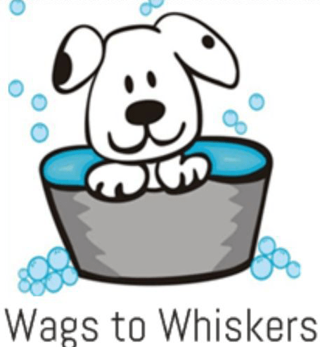 Dog Groomer in West Columbia, SC | Wags To Whiskers Dog Groomer in West Columbia, SC | Wags To Whiskers