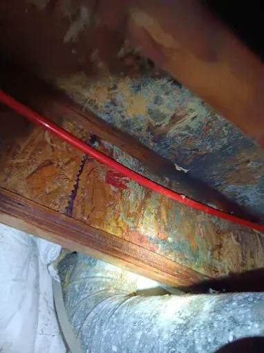 Mold and water damage visible on wood in an attic space, with red cable and vent pipe.
