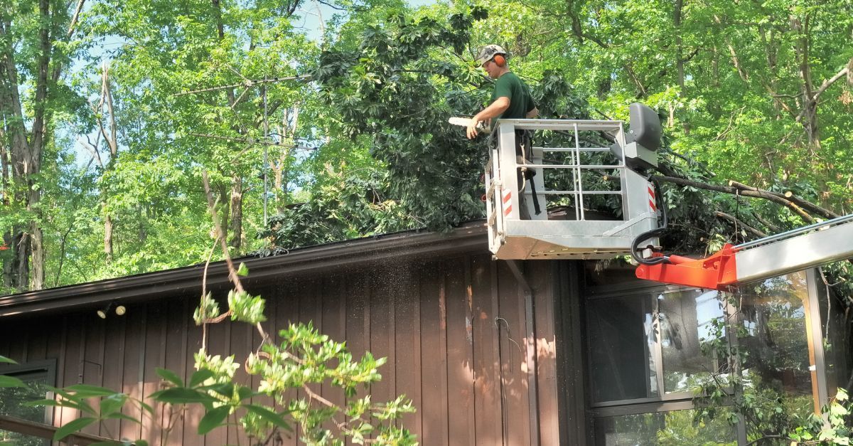 a guy in an elevated bucket cutting down a tree, that has fallen on a house.