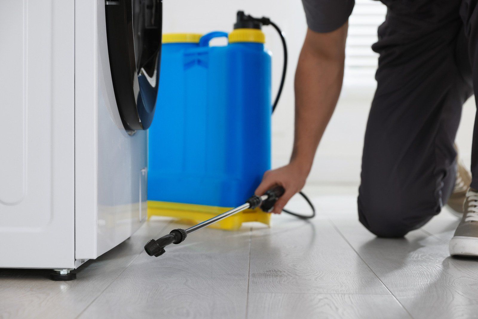 Person spraying insecticide near a washing machine; blue and yellow sprayer, indoor setting.