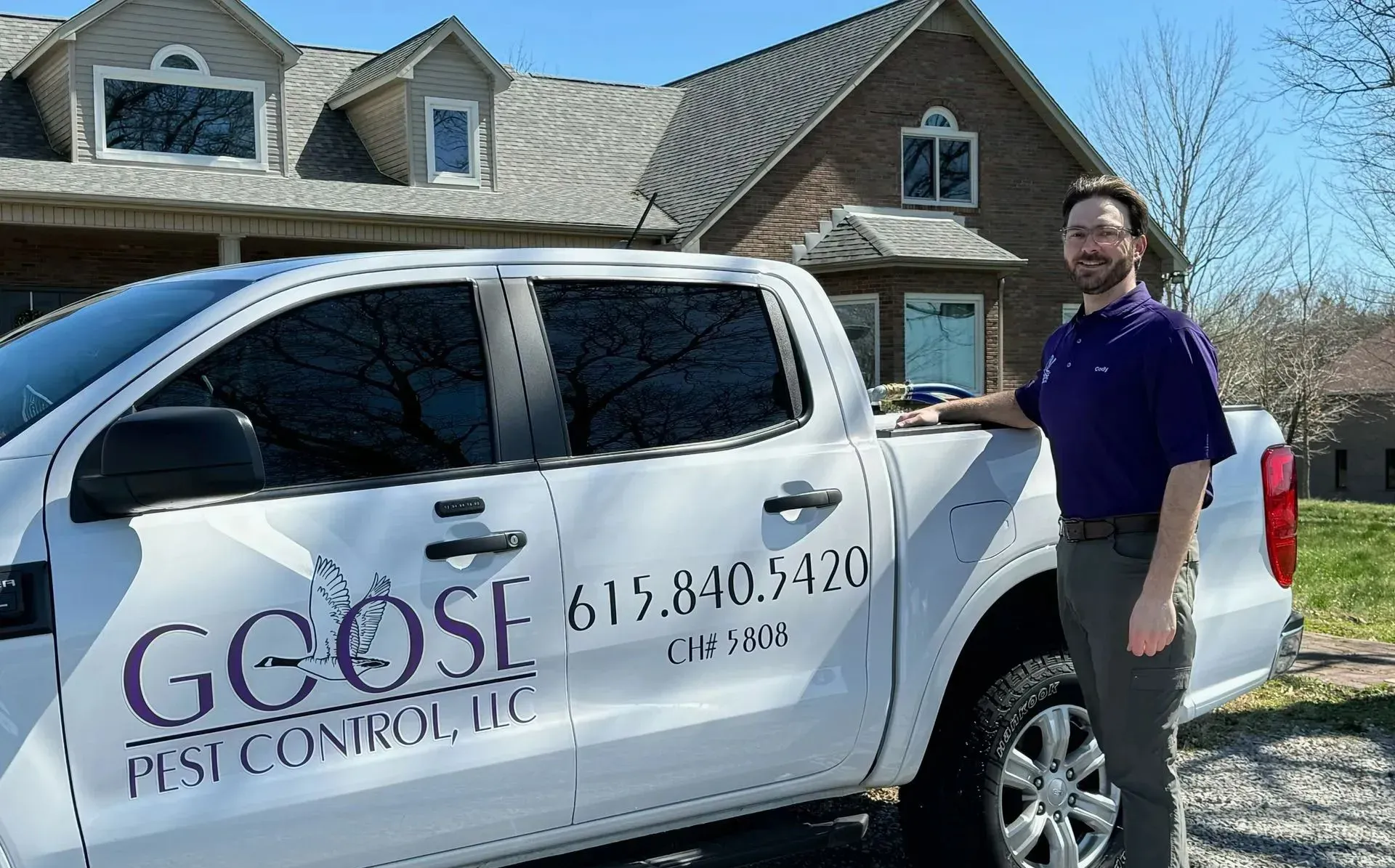 Termite-infested wood with tunnels and visible termites.