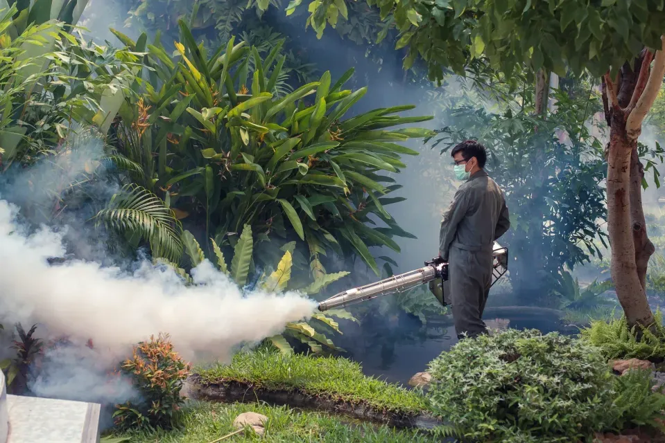 Man spraying insecticide in a garden, creating a cloud of white mist.