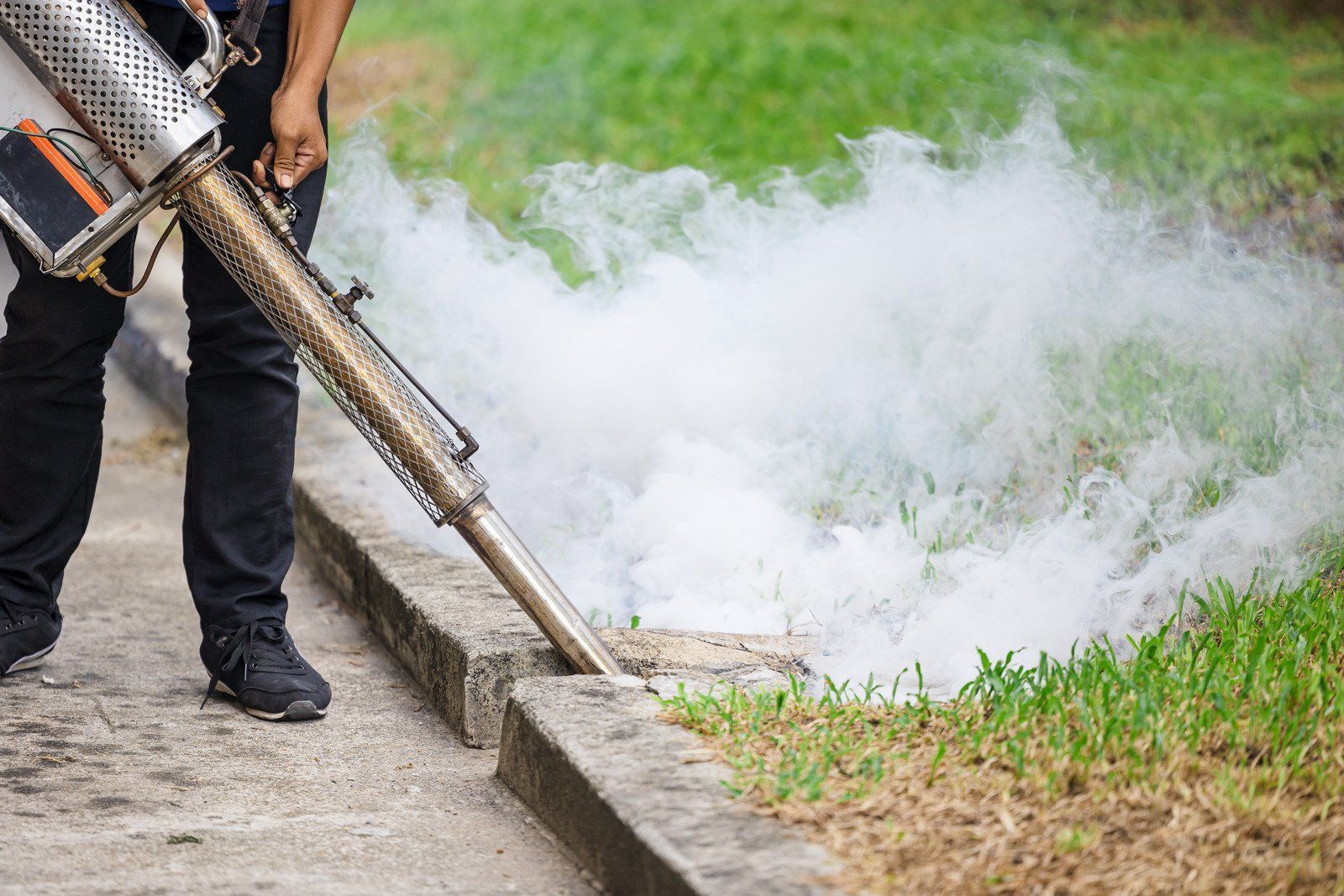 Person spraying pesticide into a drain, white mist billowing.