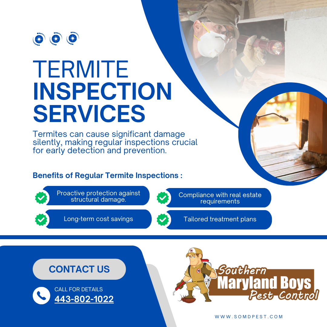 termite inspection services