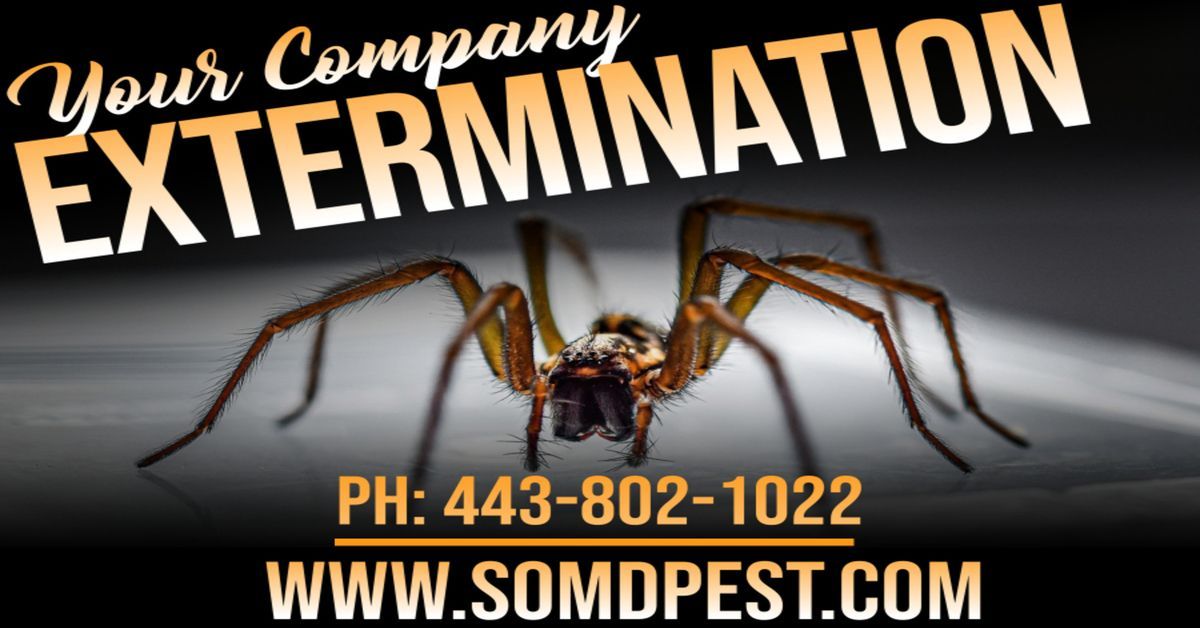 A spider is on a sign that says