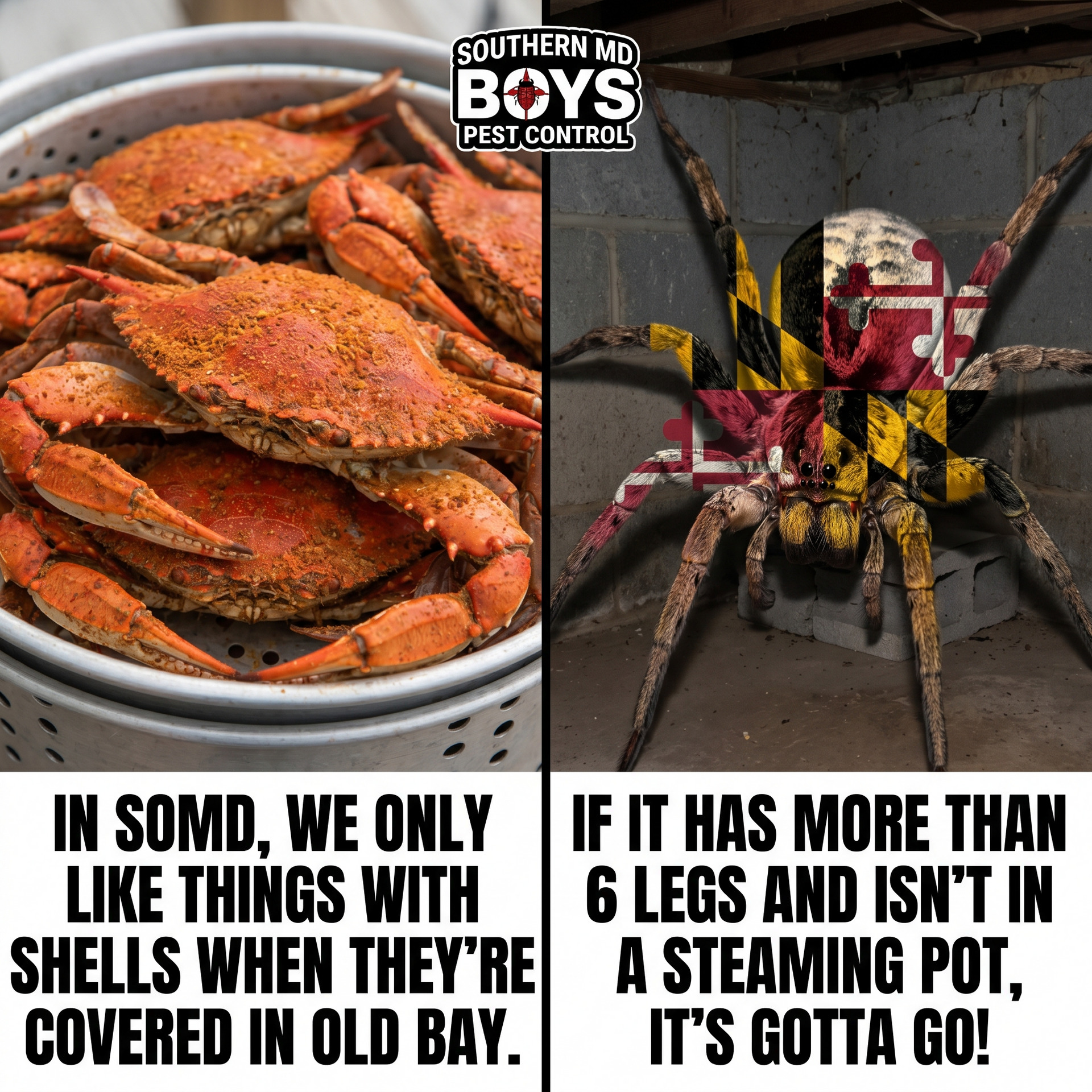 Blue crab pot on left, large spider on right with warning text comparing them as a steaming pot.