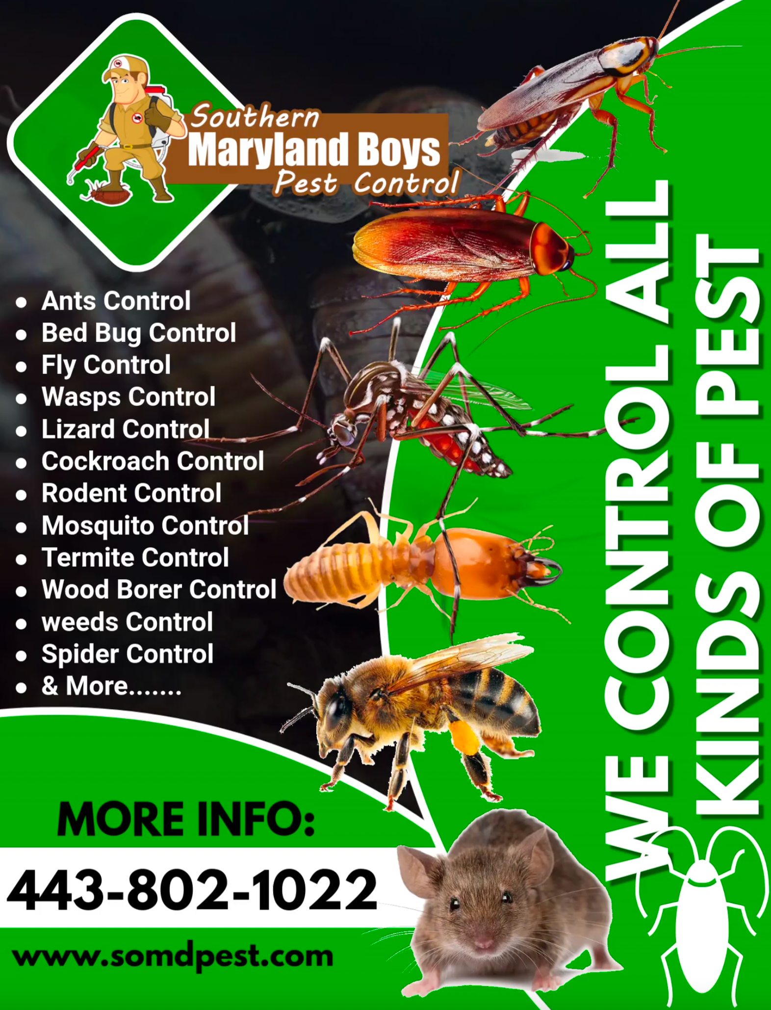 A flyer for southern maryland boys pest control shows different types of pests.