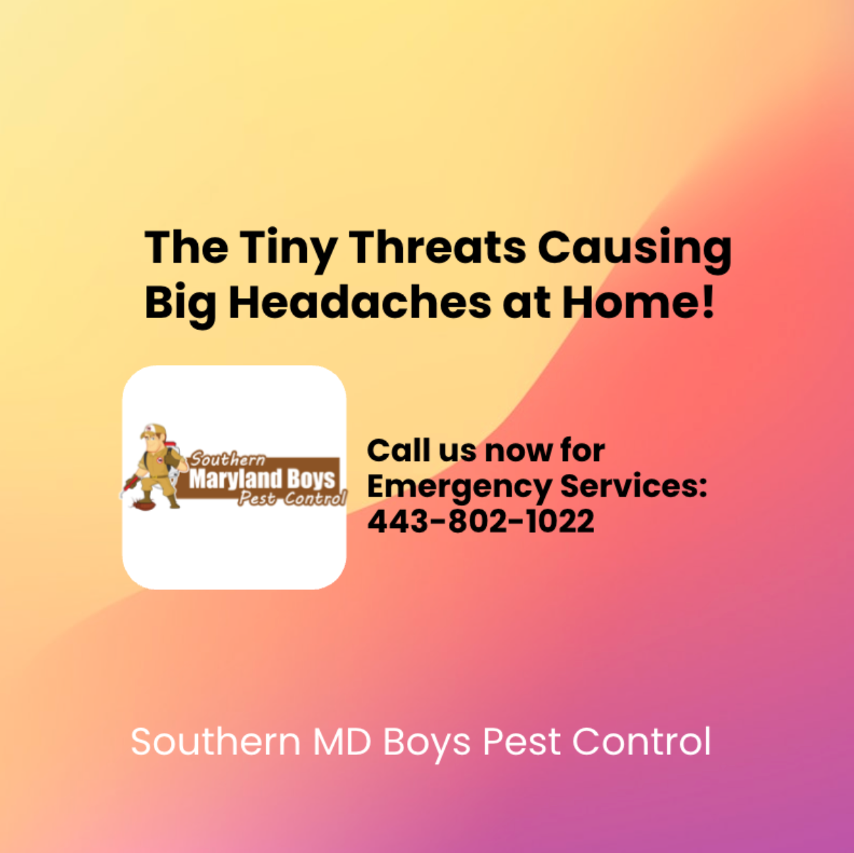 The tiny threats causing big headaches at home