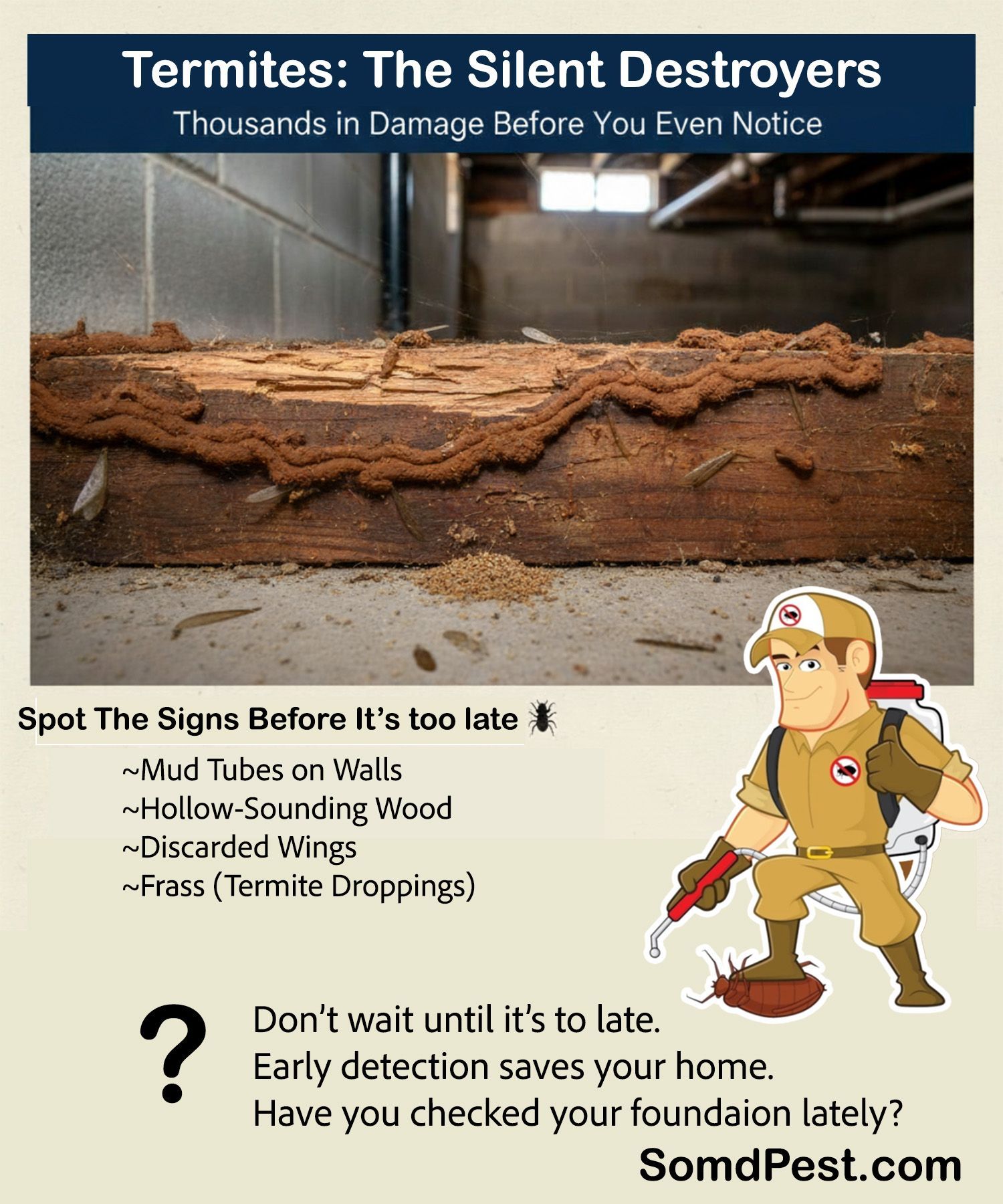 termite destroy your home