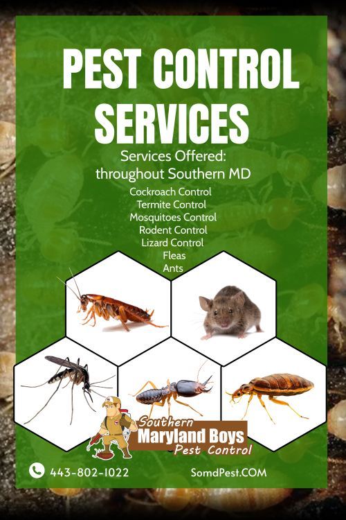 A poster for pest control services in southern md