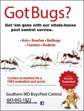 whole house pest control service ad