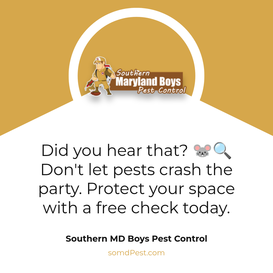 Southern maryland boys pest control offers a free termite inspection check today