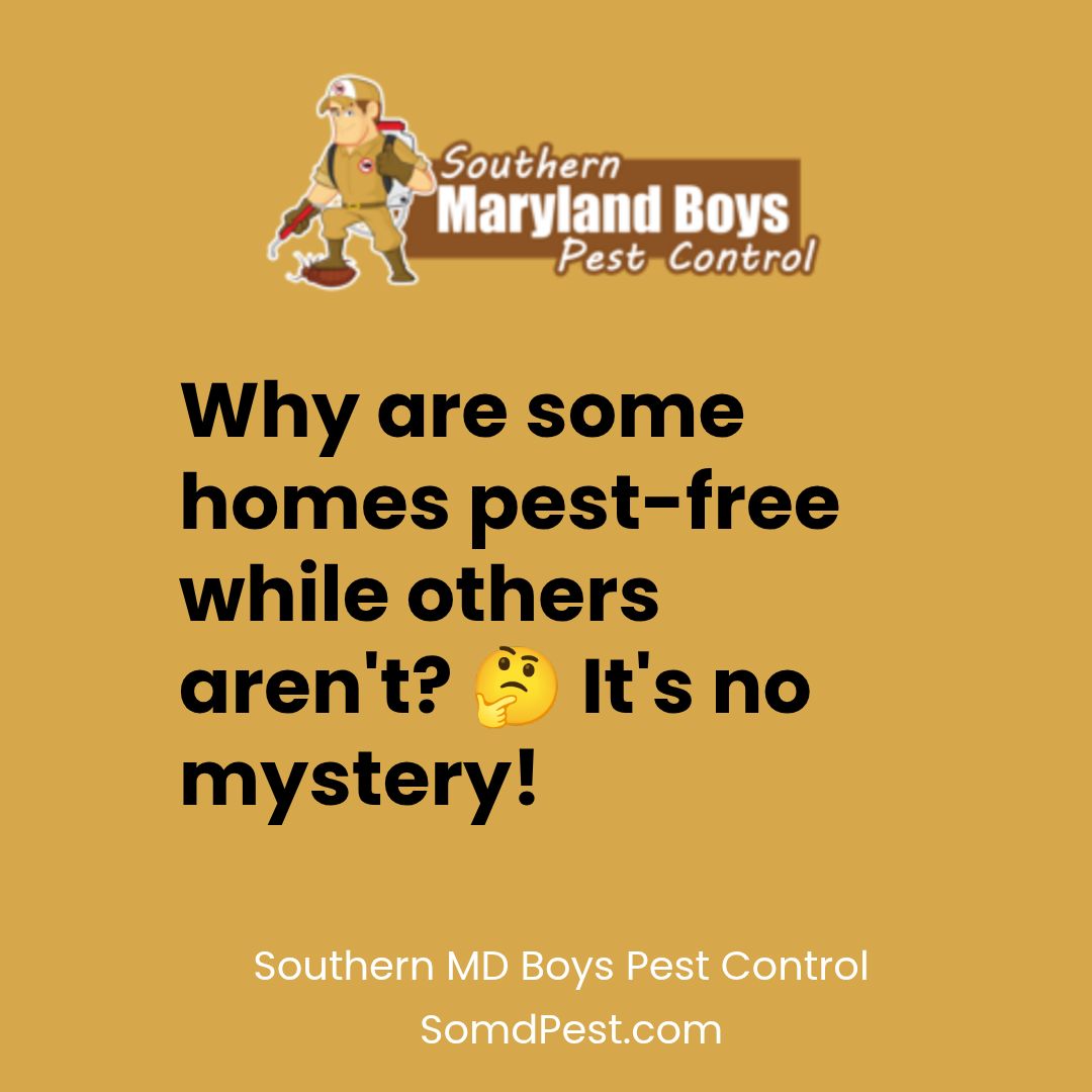 Why are some homes pest-free while others aren 't ? it 's no mystery !