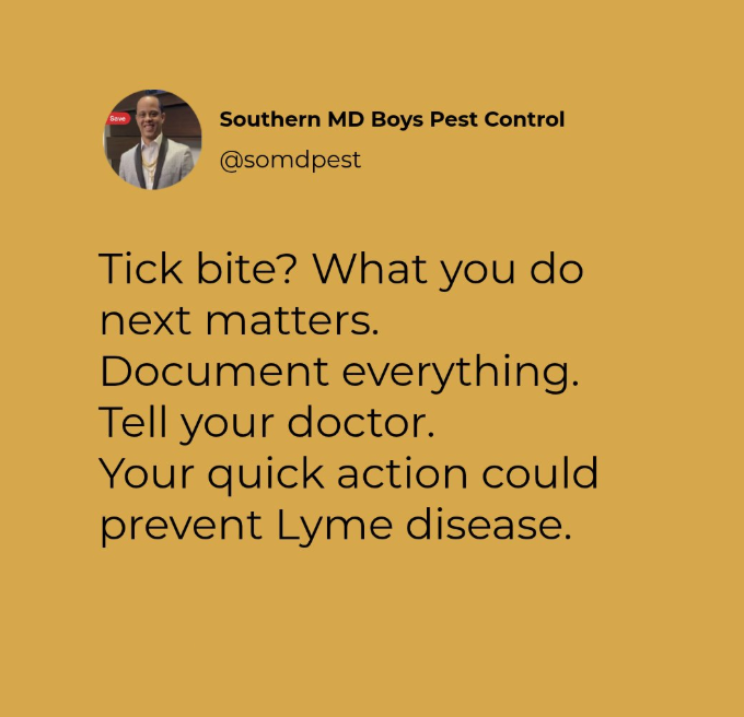 tick bites