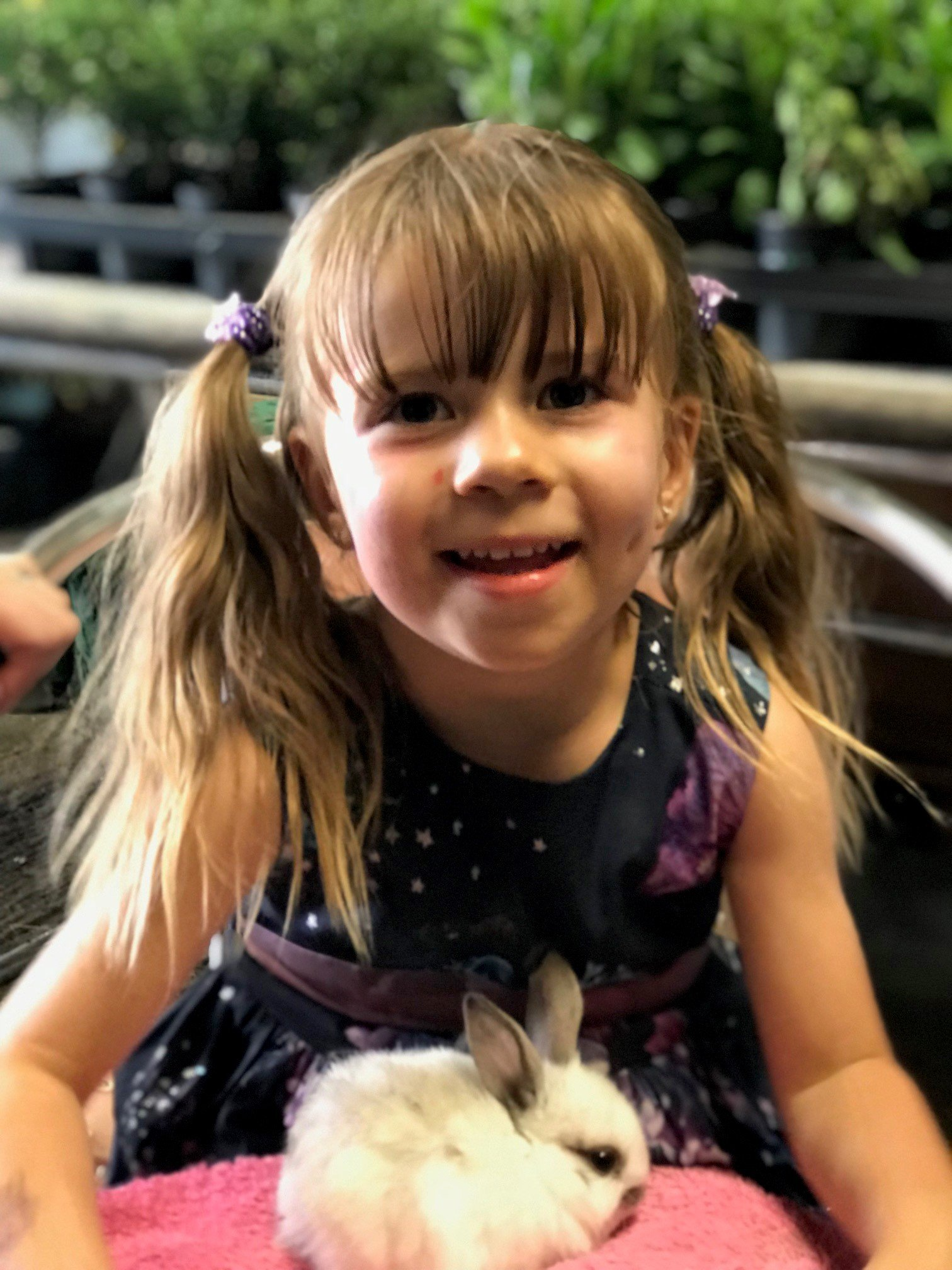 A little girl is holding a small white rabbit in her lap.