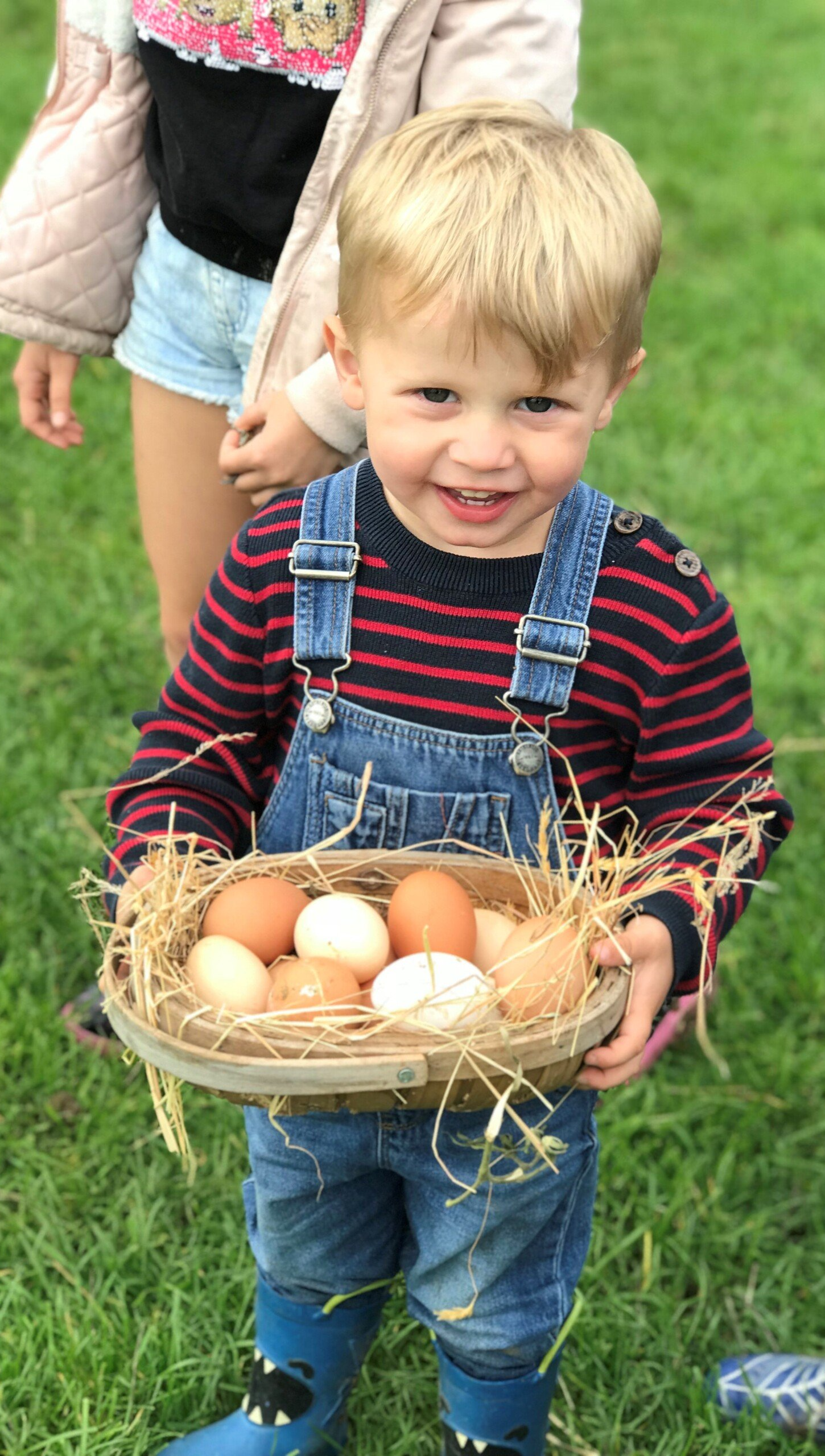 A young boy in overalls is holding a basket of eggs.
