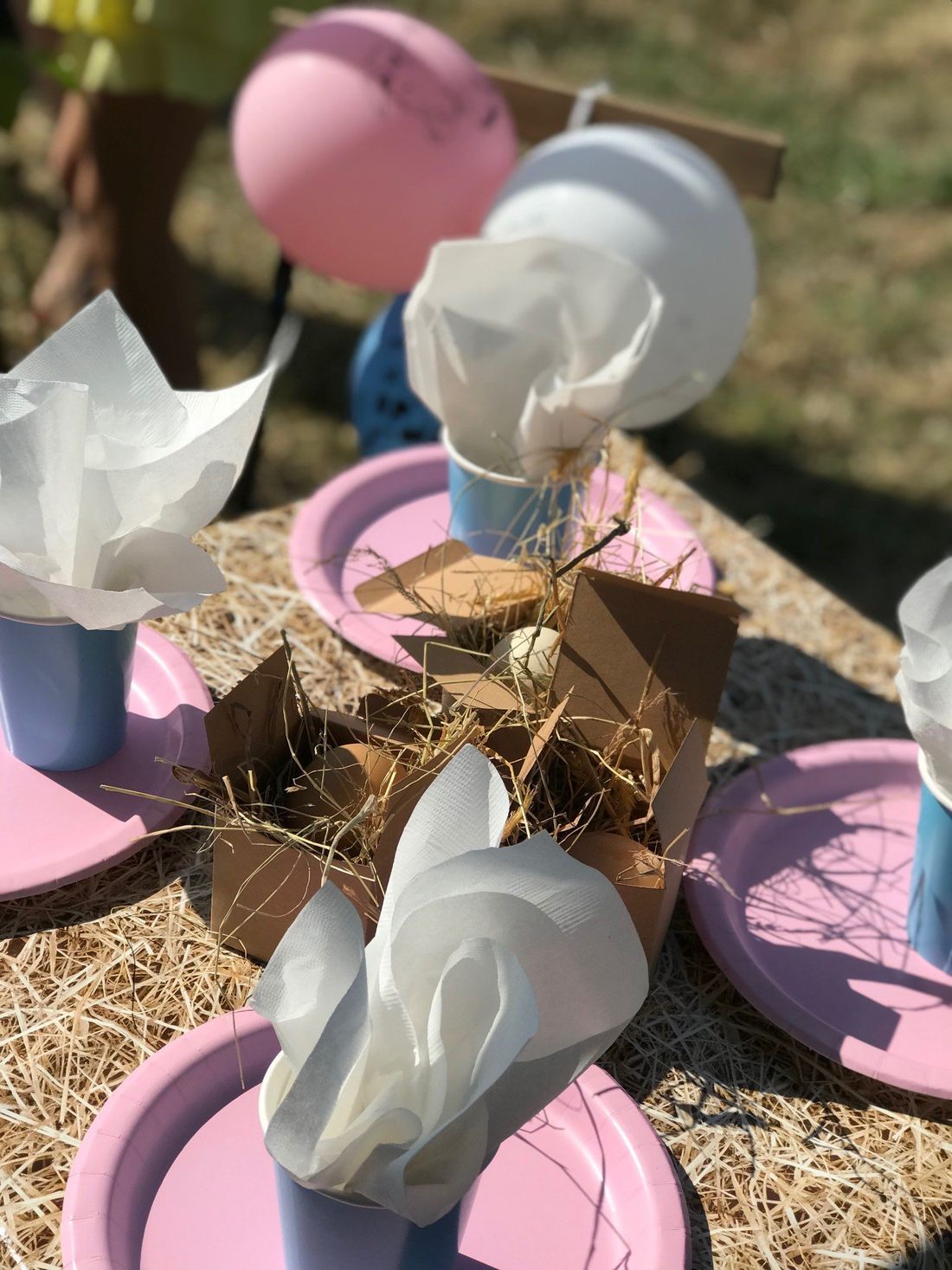 A table with pink plates , blue cups , tissue paper and balloons.