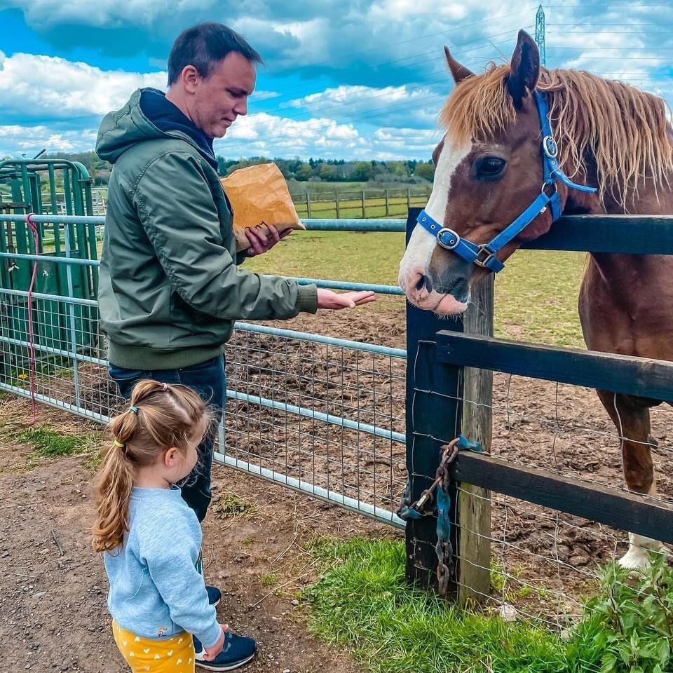 A man and a little girl are feeding a horse behind a fence.