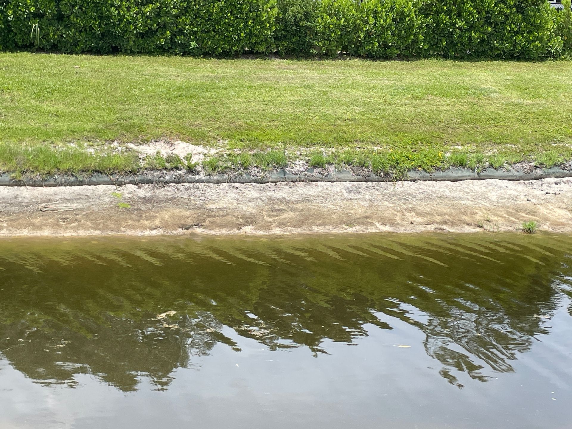 Grassy riverbank with shrubs, muddy shore, and calm water reflecting trees