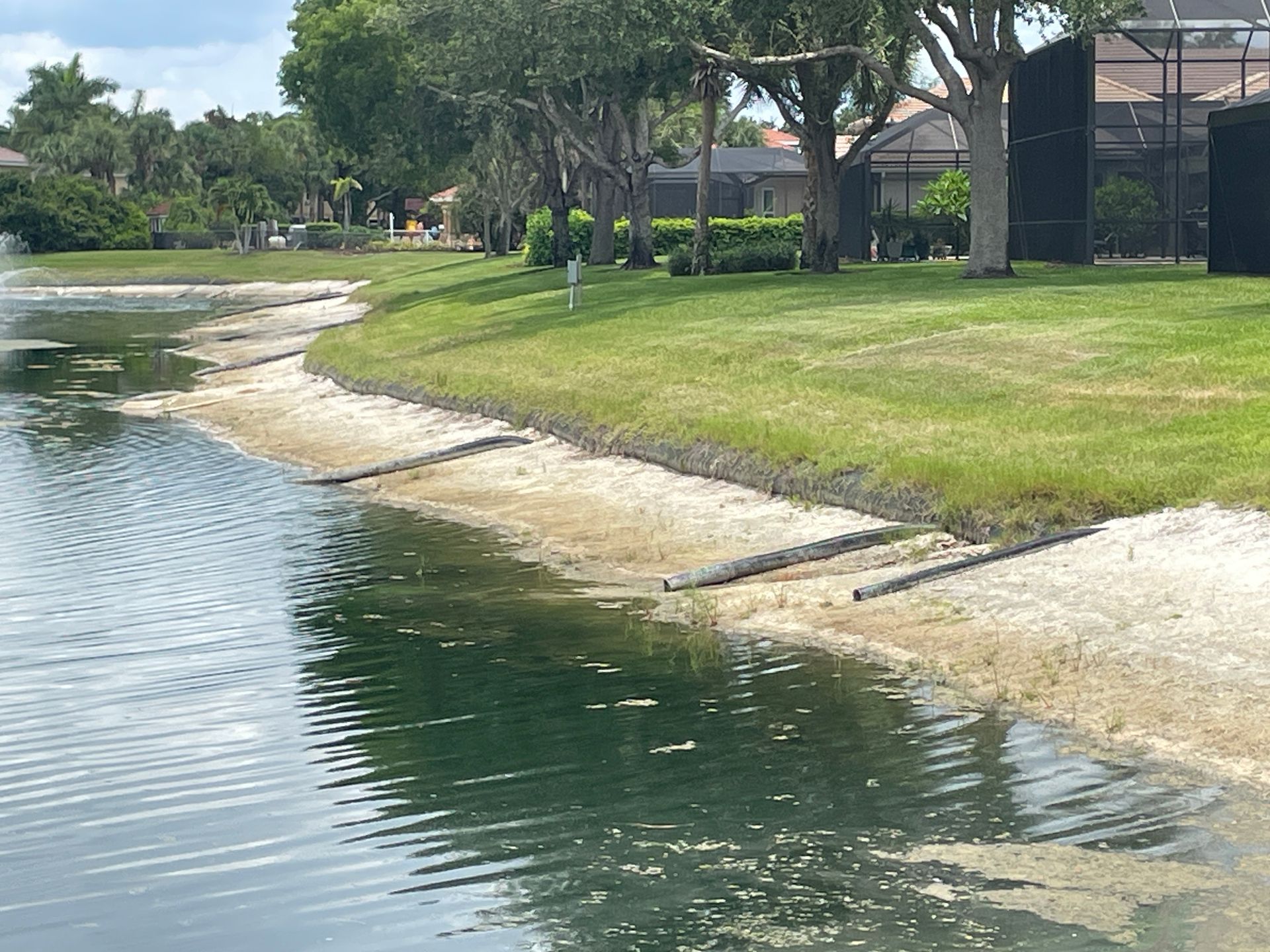 Curved lakeshore with grass, sandy bank, and calm water beside trees and houses
