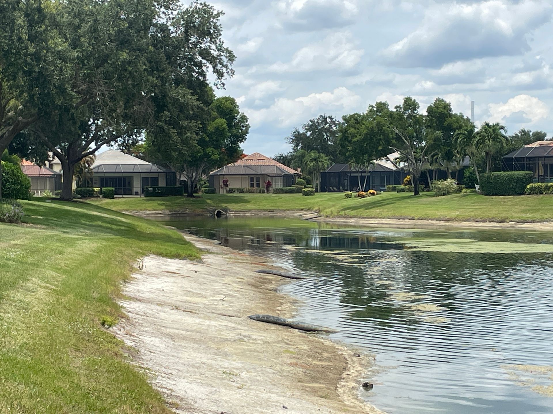 Suburban pond with grassy bank, trees, and houses under a cloudy sky