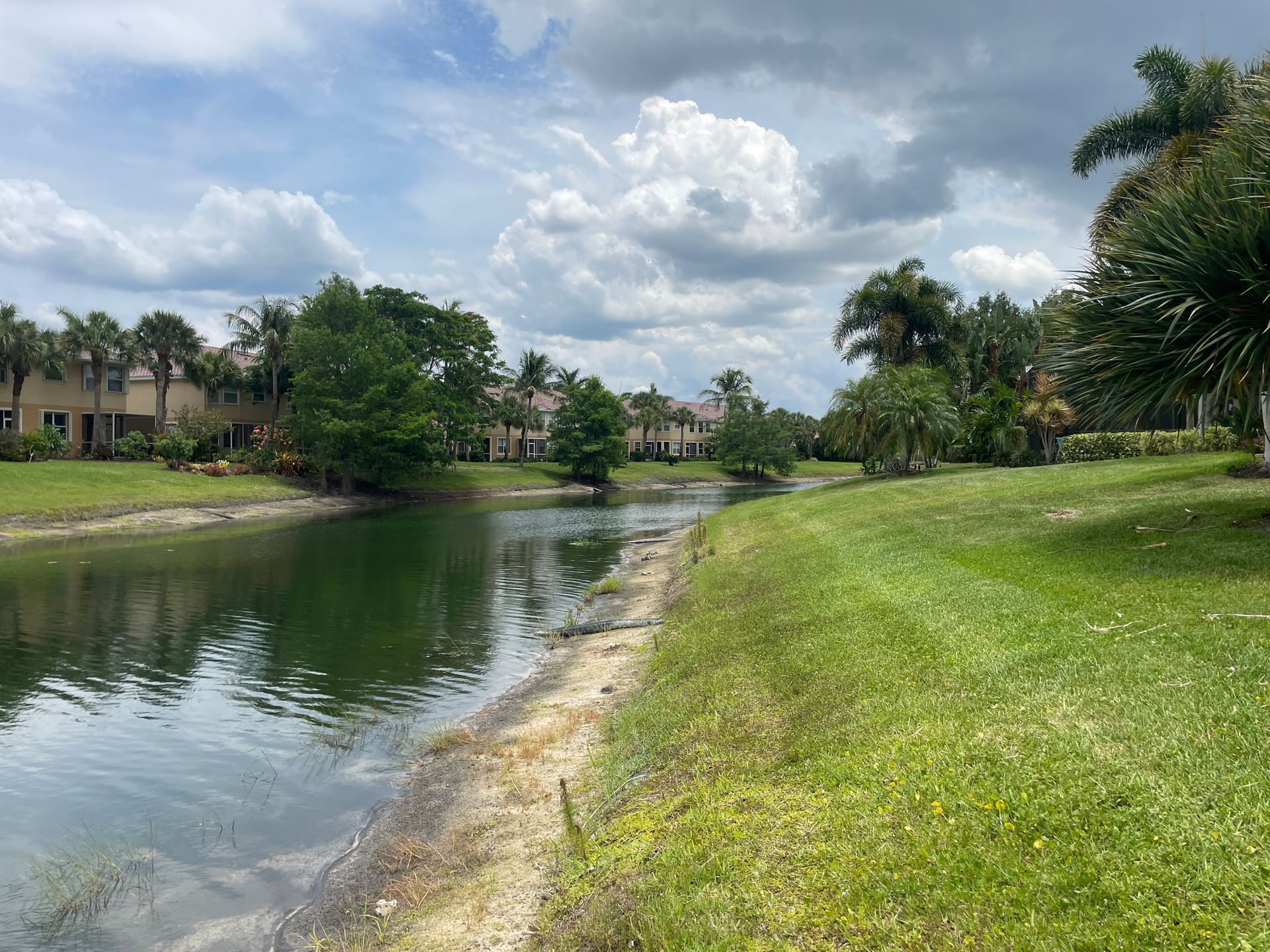 Canal lined with green grass and palm trees under a cloudy sky