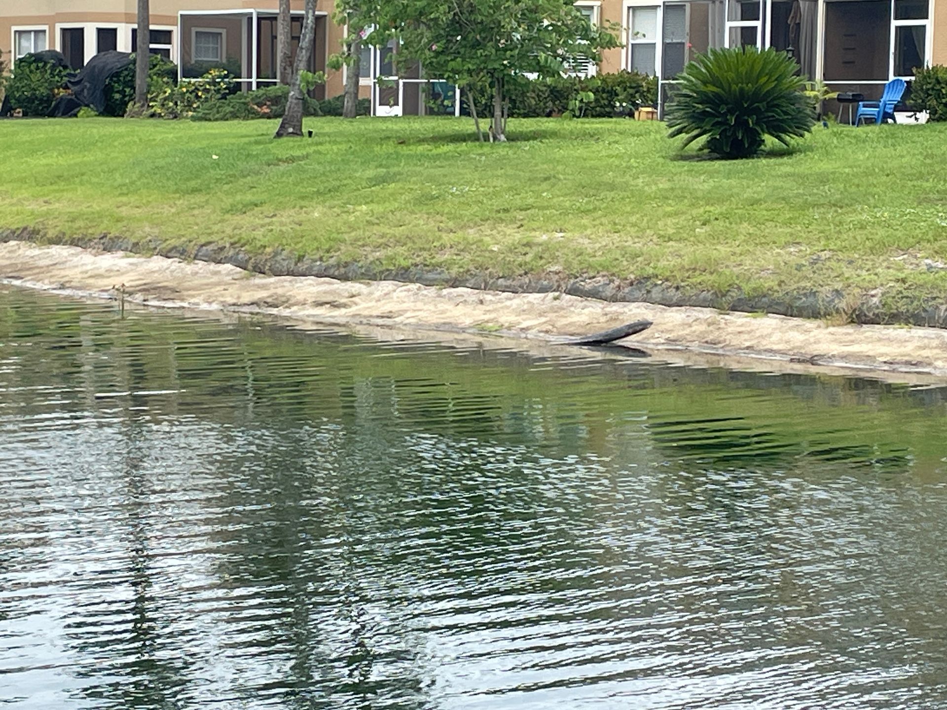 Apartment buildings and a grassy shoreline beside a calm canal with rippling water.