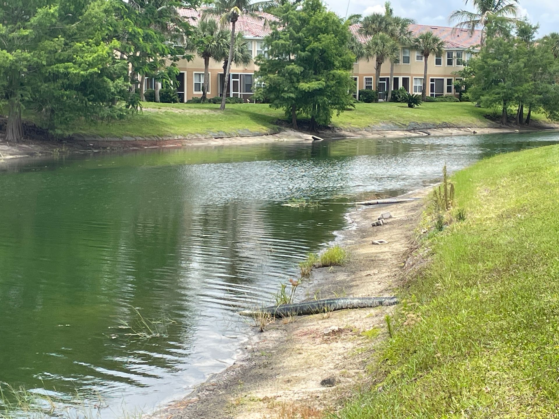 Curved riverbank with green water, grassy shore, and apartment buildings across the river.