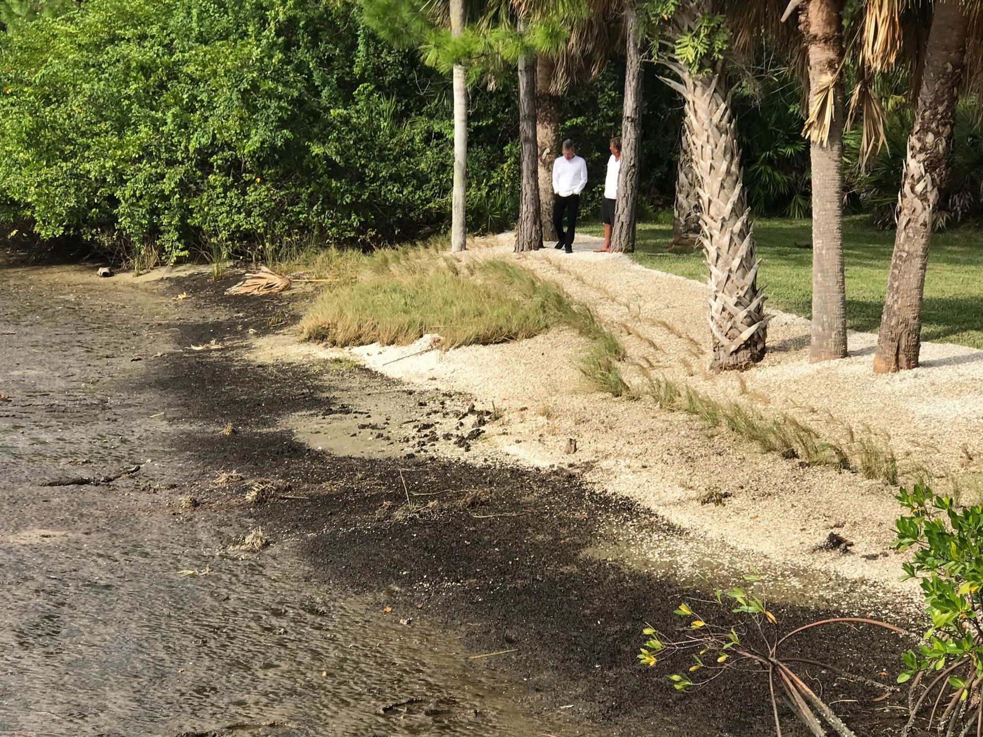 Southwest Florida Pond Erosion Repair