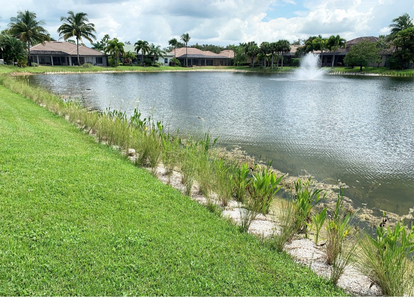 Lakeside view of manicured grass, lake with fountain, and houses with palm trees under a cloudy sky.