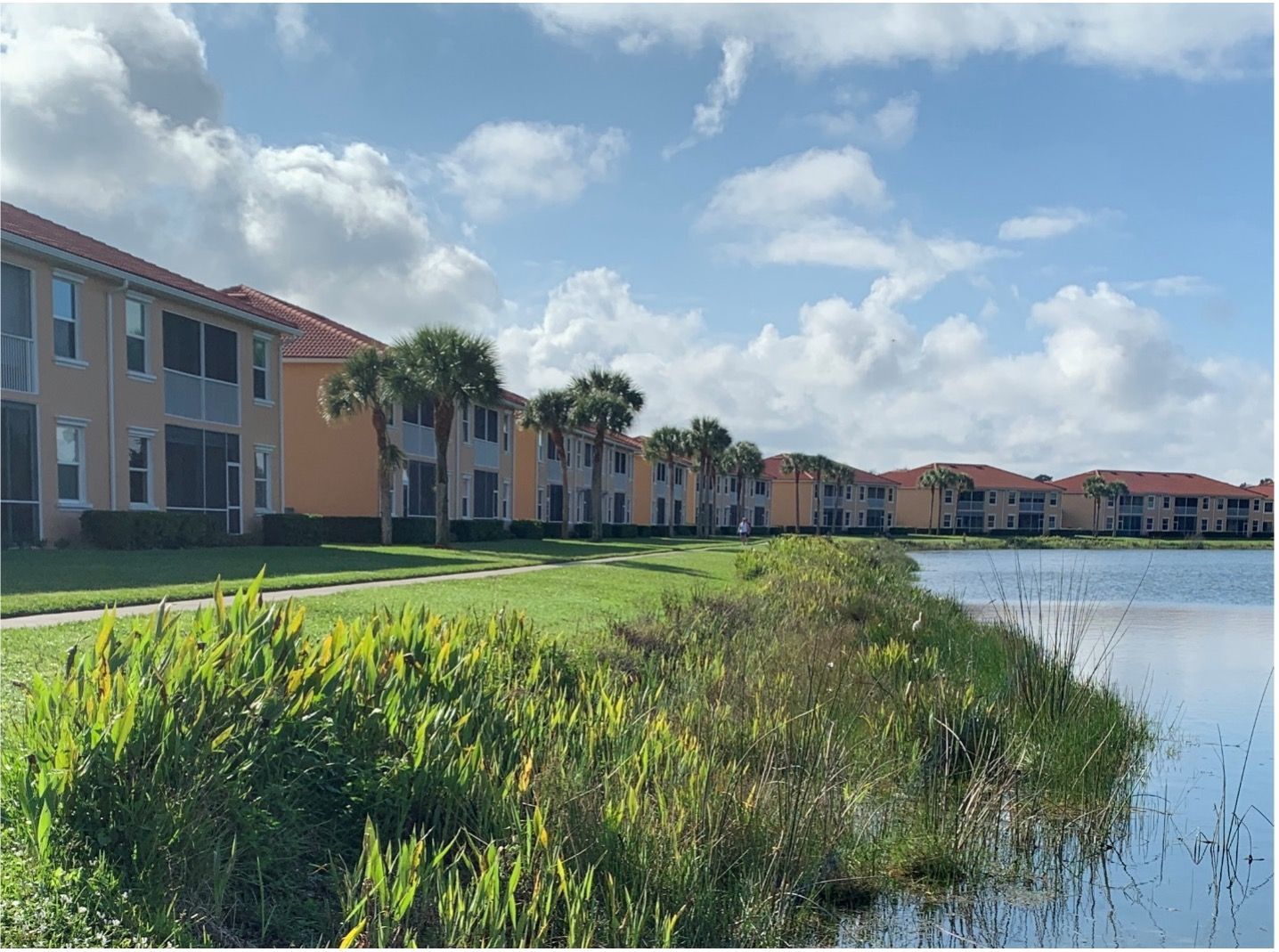 Apartment buildings line a lake's edge, with green vegetation and palm trees under a partly cloudy sky.