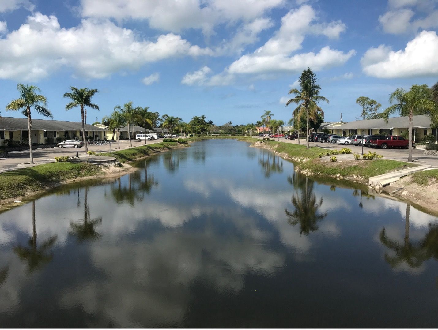 A serene canal with reflecting clouds and palm trees, lined with houses, under a blue sky.