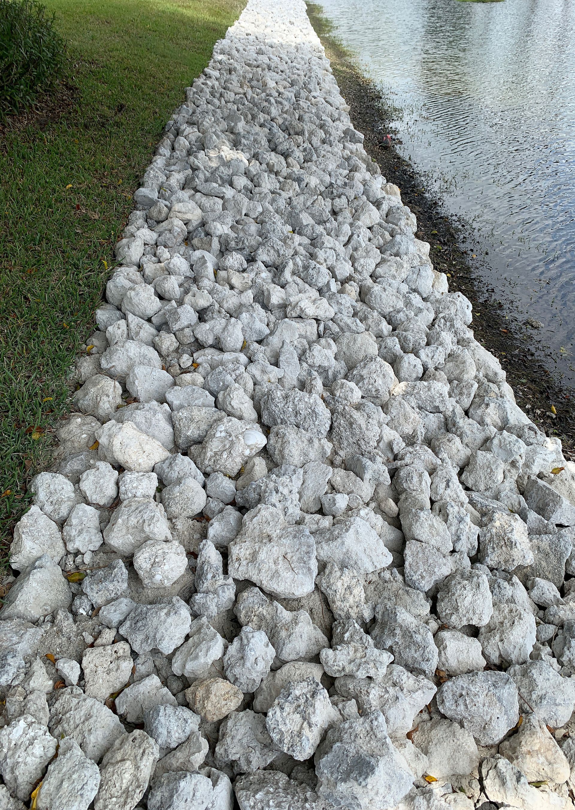 Rocks lining a bank between grass and water, protecting the shoreline.