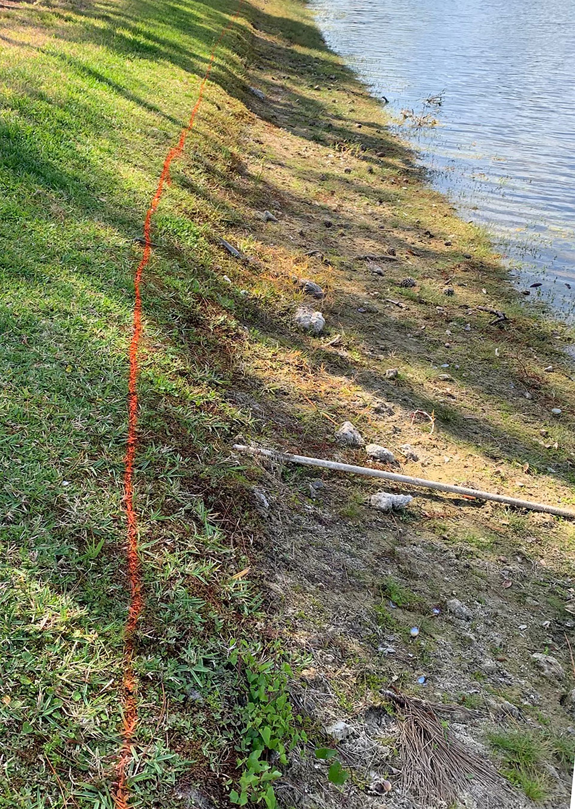 Green grassy bank next to water; a red line indicates a path or edge of the lawn.