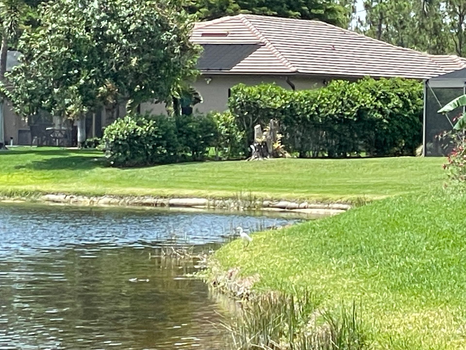 Lakeside home with green grass, water, and a bird; sunny day.