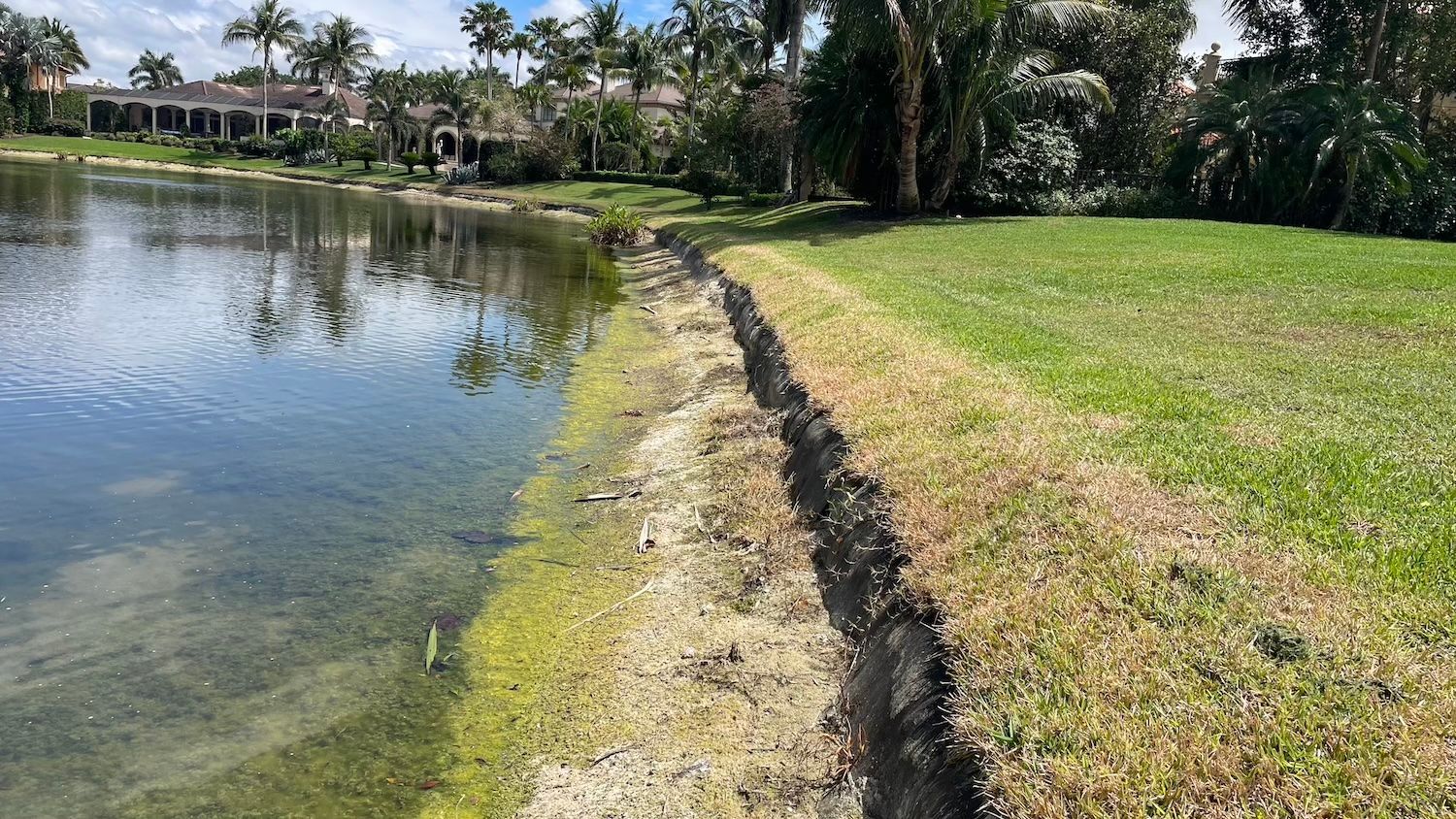 Eroded shoreline of a lake with exposed dirt and grass, near a residential area.