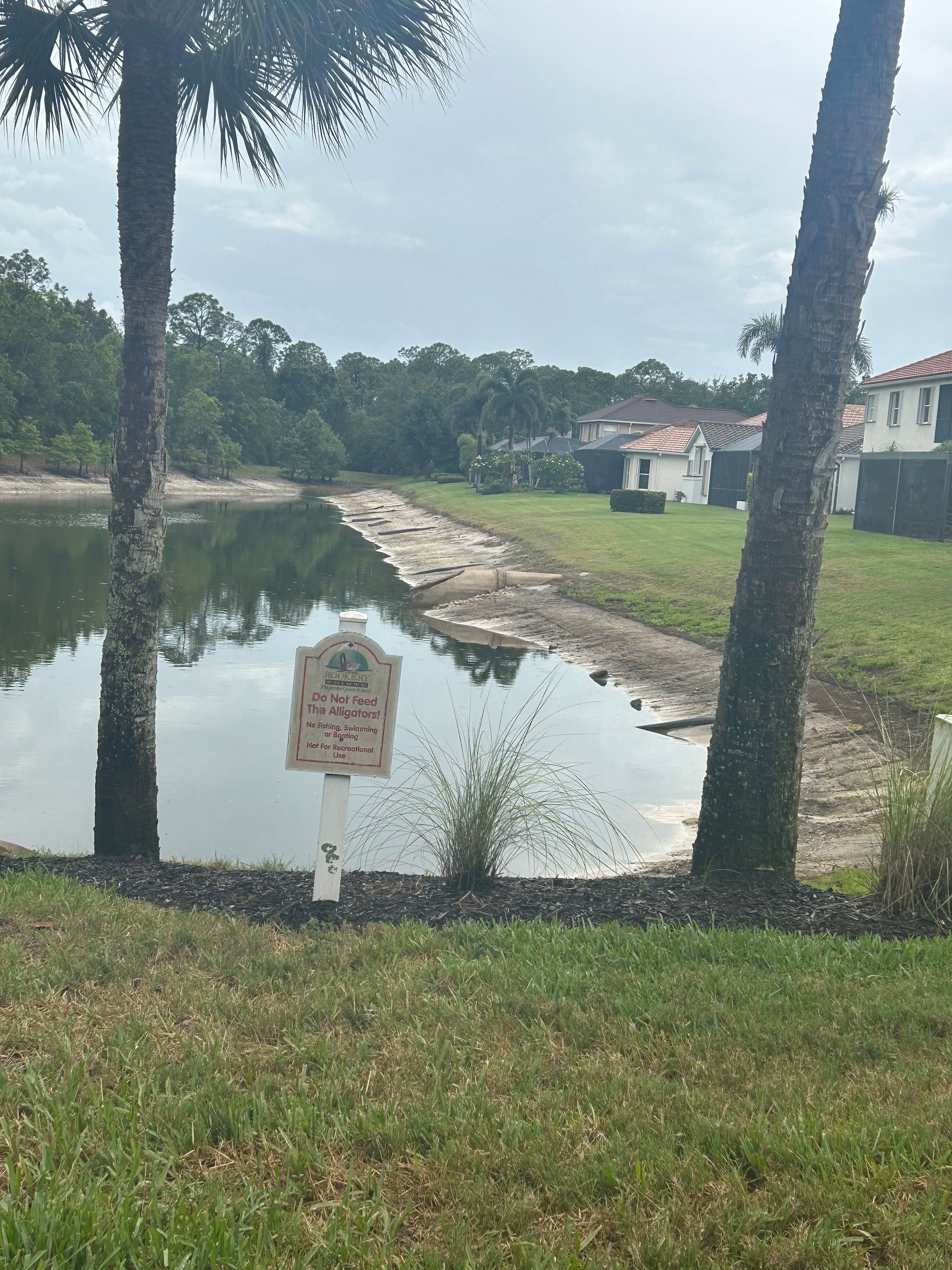 Calm pond beside grassy shore with palm trees, houses in the background, and a small warning sign in front