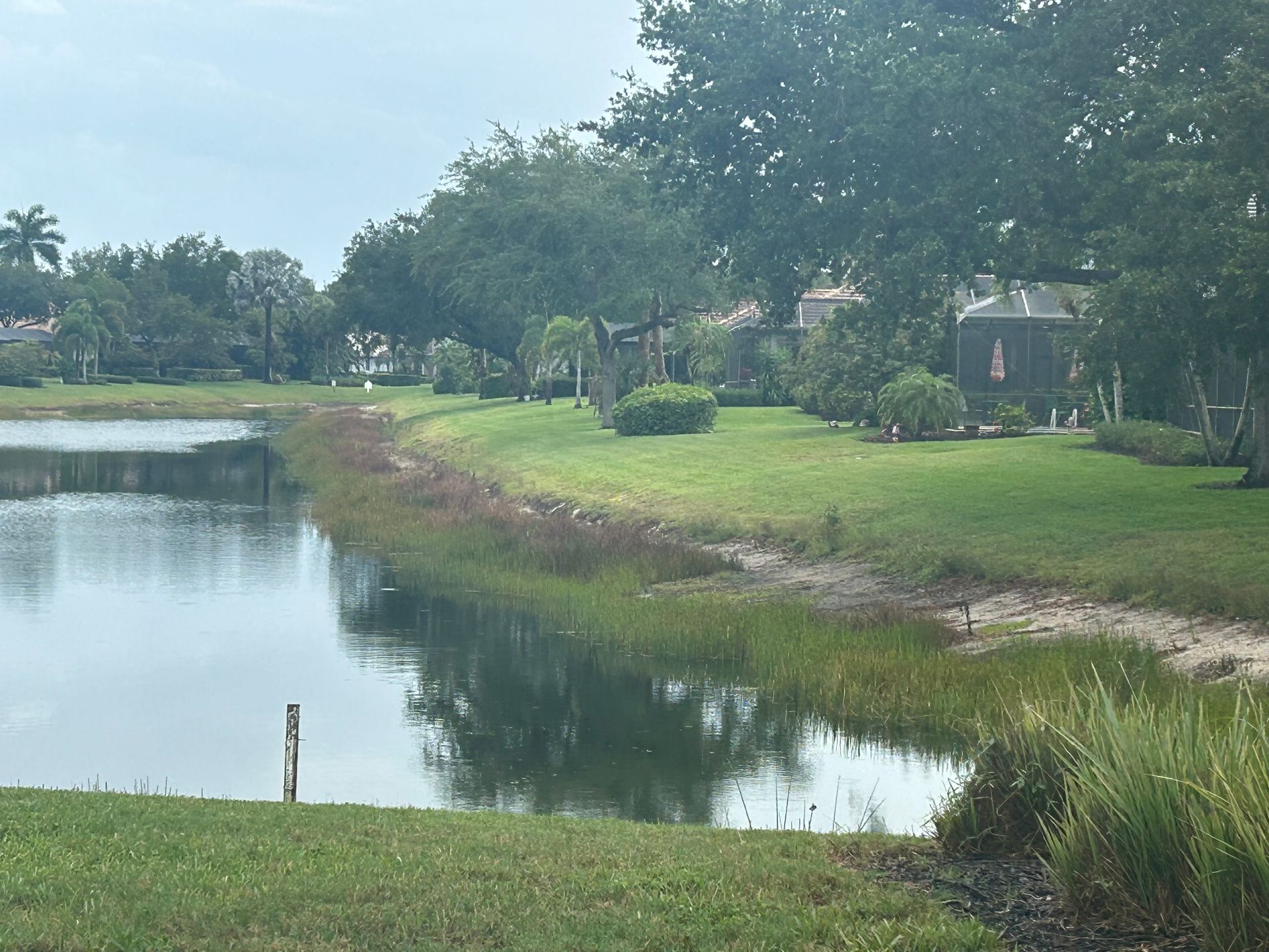 Calm pond beside a grassy suburban yard with trees and houses reflected in the water.