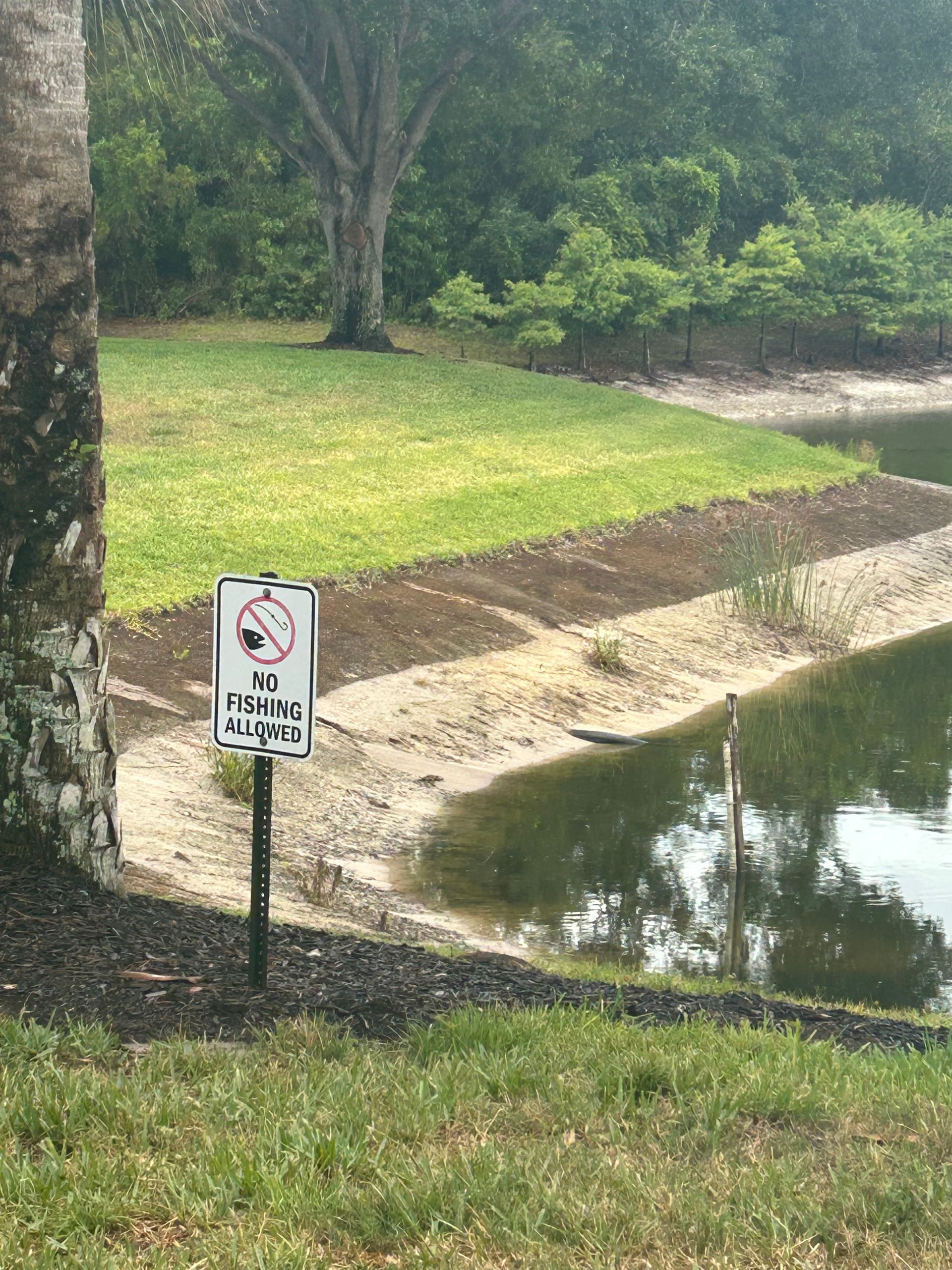 No fishing sign by a pond in a grassy park area
