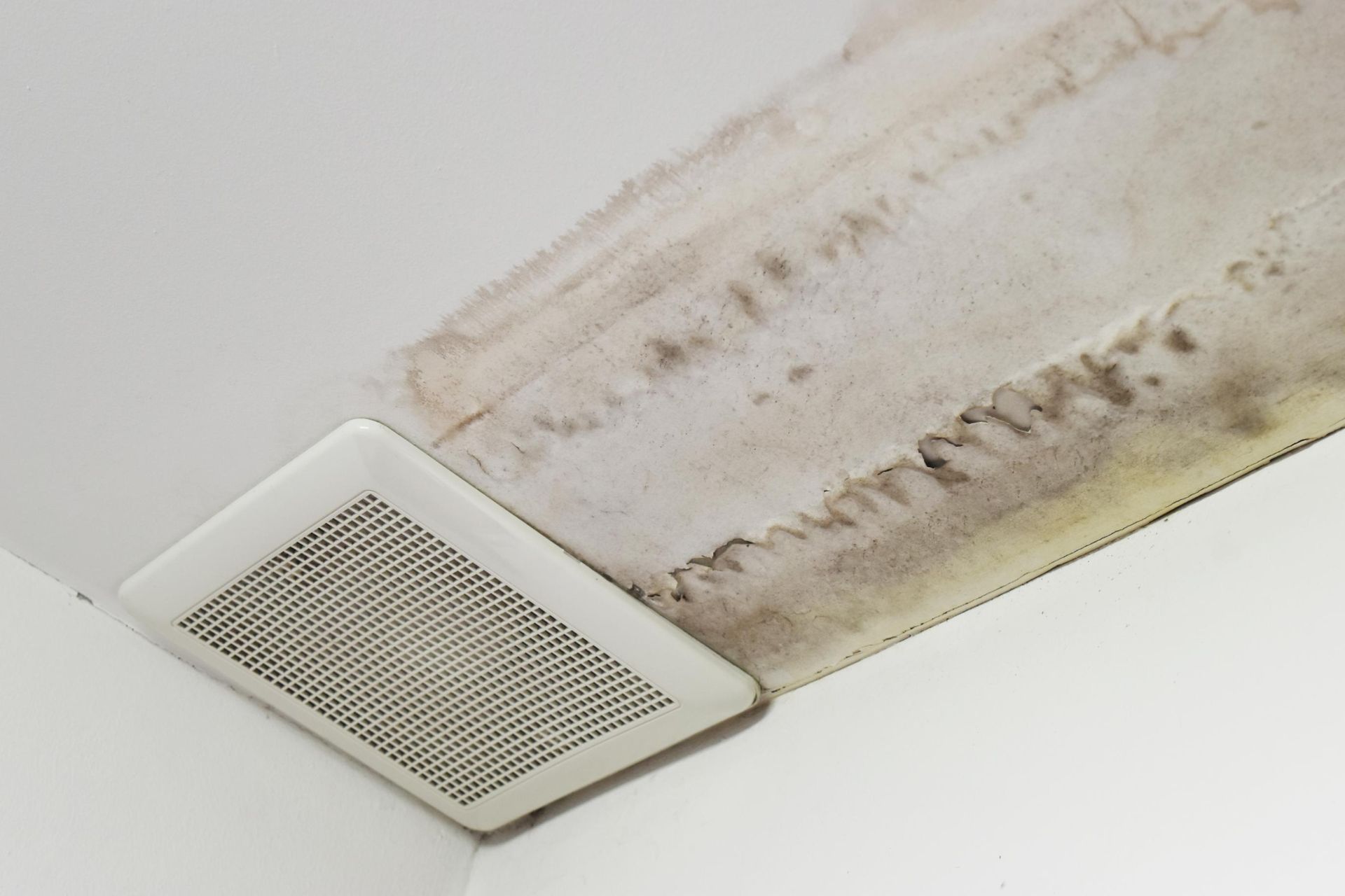 Ceiling vent surrounded by extensive, dark brown water staining and mold growth on the drywall.