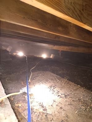 A low-angle view of a dark, dusty crawlspace under a wooden floor structure.