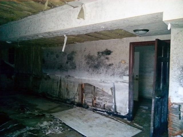 An interior room in disrepair with heavy black mold growth on walls.