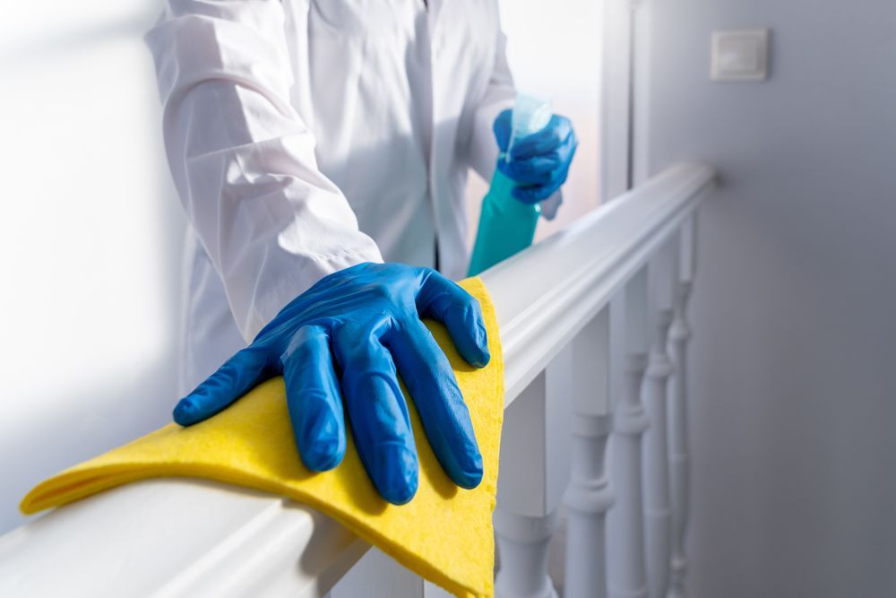 A hand lifts a piece of peeling wallpaper to reveal extensive dark mold growth.